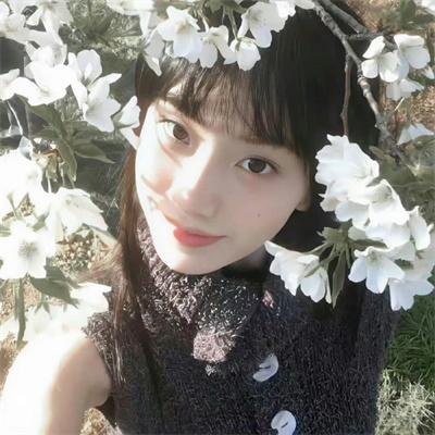 青春恋歌